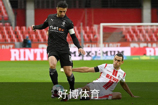 好博体育公司简介